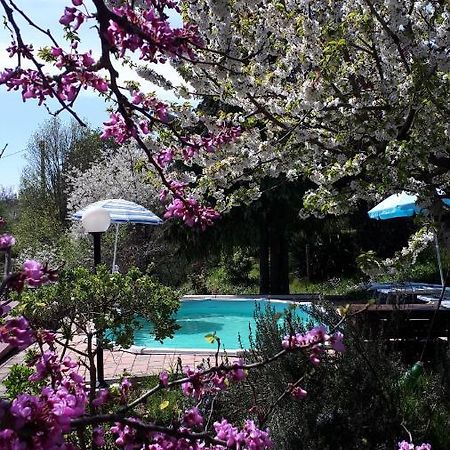 Il Ciliegio Del Pellegrino Apartman Gubbio Kültér fotó